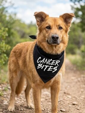 Amazon NWOT Black "Cancer Bites" Dog Bandana- OSFM
